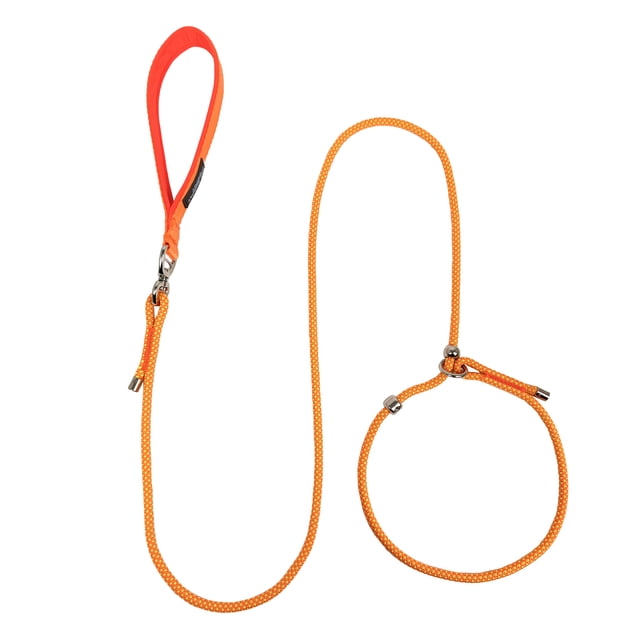 Laisse pour Chien Ajustable Antidérapante Laisse pour Chien Monobloc Réglable Laisse d'Entraînement pour Chien Sans Traction Laisses d'Entraînement Laisse pour Animal de Compagnie pour Petits, Moyens et Grands Chiens