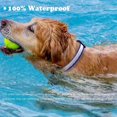 thumbnail image 3 of LED Luminous Collar Dogs, Luminous Dog Collar, Rechargeable and Adjustable Length, Waterproof Safety Pet Collar for Dogs and Cats - S - Blue, 3 of 7