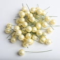 thumbnail image 4 of 100 Mini Bayas Artificiales de Espuma, Estambres Decorativos, Amarillo Leche Leche Amarilla, 4 of 9