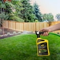 thumbnail image 4 of Spectrum Brands 231237 32 oz Black Flag Ready to Spray Lawn Insect Killer with Fungus Control, 4 of 5