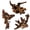Mopani Driftwood (7-12 inch - 3 Pcs), variant on Mopani Driftwood (4.1-7.2 inch - 12 Pcs) Aquarium Habitat Decoration