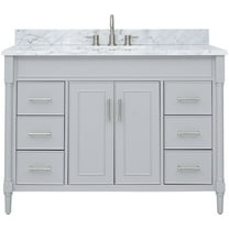 Avanity Bristol-Vs49-C Bristol 48" Free Standing Single Basin Vanity Set - Grey