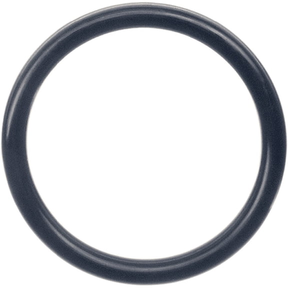 Danco Perfect Match O-Ring 35831B - No 104 Seal Replacement
