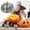 C, variant on Artificial Decorative Pumpkin – Black with Striped Finish for Halloween, Thanksgiving, and Fall Holiday Decorating