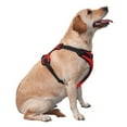 thumbnail image 2 of Bingfone Red No Pull Dog Vest Harness For Small Medium Large Dogs Strap For Puppy Walking,Training,Dog Harness-Small, 2 of 9