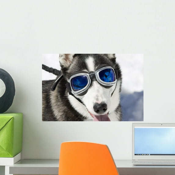 Husky Wearing Sunglasses Protection Wall Mural Decal Sticker, Wallmonkeys Peel & Stick Vinyl Graphic (18 in W x 12 in H)