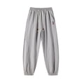 thumbnail image 6 of BVnarty Men's Mesh Quick Dry Long Pants Solid Lightweight Breathable Loose Jogger Trousers for Summer Sports Outdoor Daily Gray XXS, 6 of 8