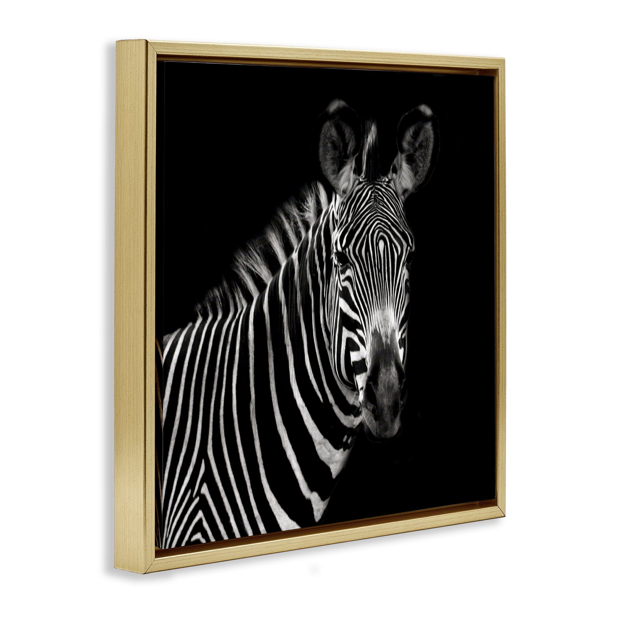 Stupell Industries Jungle Zebra Portrait Animals Photography Gold Floater Framed Canvas Art Print Wall Art, 25 x 25