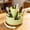 385#Light Green, variant on 360 Degree Rotating Desk Pen Organizer 4.92x4.92x4.72In, Tiered Divided Compartment Large Capacity Easy Access Anti Drop Build, Desktop Caddy for Office Makeup Brush Supply Classification Storage