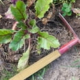 thumbnail image 4 of YSNOOWE Shovel Handles 1Pack Beige Wood Round for Broom Handle Replacement and Versatility, 4 of 8