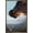 Bronze Framed Version, variant on Disney Pixar Cars 3 - One Sheet Wall Poster, 22.375" x 34", Framed
