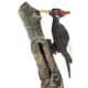 thumbnail image 4 of Figuras de animales de juguete,Figuras modelo pájaro carpintero,Juguete educativo ños,modelo de pájaro,Decoración del hogar regalo ños coleccionable Sunnimix Figuras de animales de juguete, 4 of 8