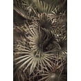 thumbnail image 2 of 1x Studio III 11x14 White Modern Wood Framed Museum Art Print Titled - Palmblad_003, 2 of 4