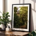 thumbnail image 4 of Distant Crossing - Latourell Oregon Photography Bridge Forest Nature Woodland Scenic Architecture Wilderness Black Framed Wall Art Print 20 x 30 inches, 4 of 8