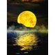 thumbnail image 1 of Evershine 5D DIY Diamond Painting Moon Full Square Diamond Embroidery Landscape Cross Stitch Mosaic Sale Home DecorationFull Square 50X70cm Gao Jinjia LED, 1 of 2