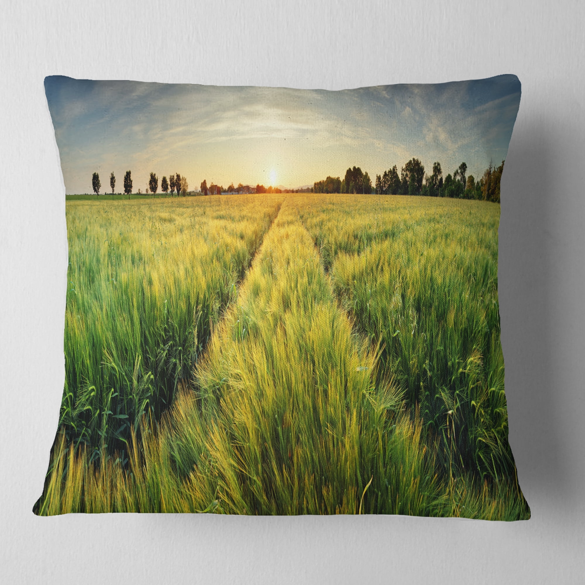 Designart Green Wheat Field at Sunset - Landscape Photography Throw Pillow - 18x18