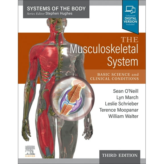 The Musculoskeletal System