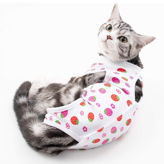 Traje de recuperación quirúrgica para gatos, ropa posoperatoria, pijama, ropa para mascotas de interior (fresa) XL
