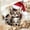 F#50, variant on Fuebueo Christmas Mini Cat Ornament Kitten Kitty Xmas Tree Hanging Decoration for Cat Lovers Feline Gift Collectible