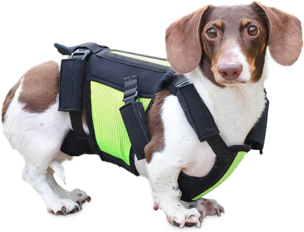 Walkin’ Pets vertebraVe Dog Back Rehabilitation Brace Medical Grade