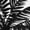 White, variant on LWavelet Women's Drawstring Waist Palm Tree Print Wide Leg Pants with Split Detail for Beach & Vacation Wear White M