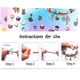 thumbnail image 4 of Conjunto de caja de regalo rosa, 7 colores, pulsera de cristal hecha a mano diy para niños, joyería, pulsera de regalo para mujer, conjunto de pulsera roja grande BANYUO Electrónica, 4 of 7