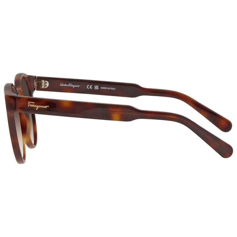 Salvatore Ferragamo Brown Gradient Round Ladies Sunglasses  display picture 1
