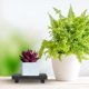 thumbnail image 3 of GOOHOCHY Soporte de madera para plantas, jabonera de baño, bandeja elevadora de madera para plantas, portavelas, soporte rústico para macetas, para cocina, decoración de estilo rústico., 3 of 8