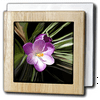 3dRose Crocus, Tile Napkin Holder, 6-inch