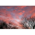 thumbnail image 2 of Putman, Tammy 32x23 Black Ornate Wood Framed with Double Matting Museum Art Print Titled - Dusk Silhouette III, 2 of 4