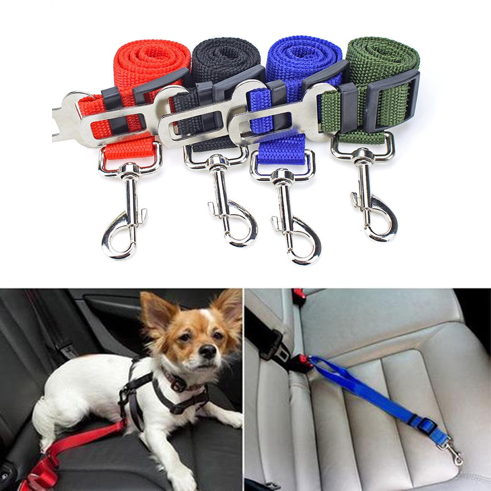 dog seat belt leash