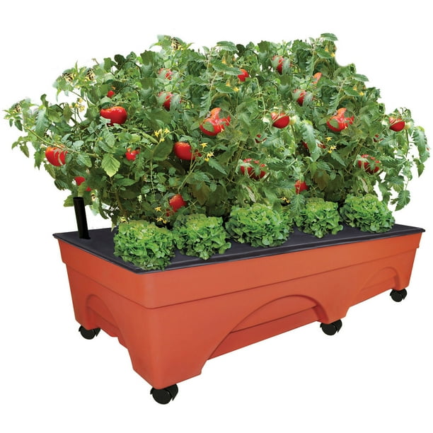 Emsco Group 3340 Big City Pickers Patio Garden Grow Box, 20" x 48