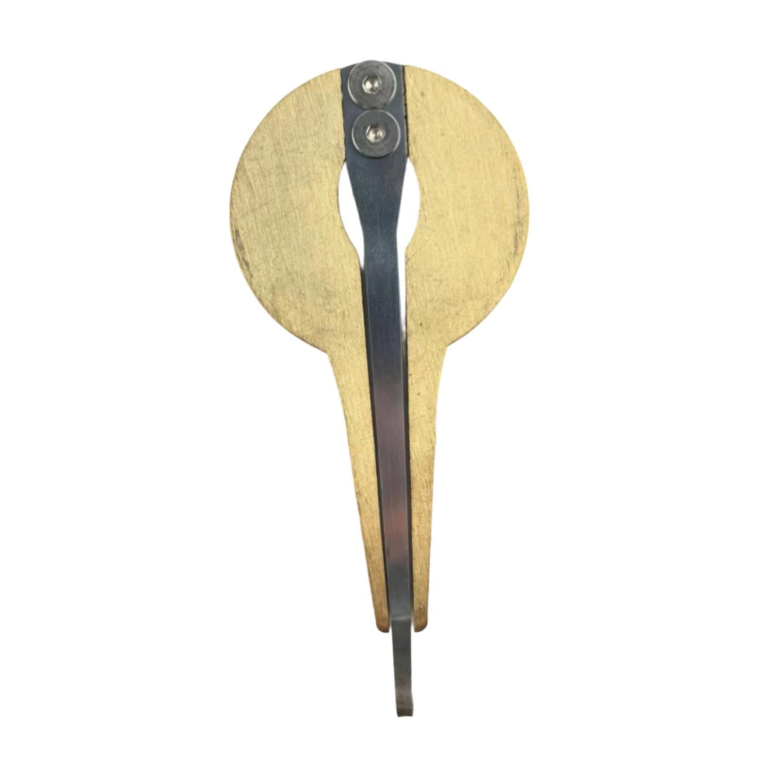 MERIGLARE Jaw Harp Russian Mouth Musical Instrument Metal Ethnic Folk Instrument Beautiful Sound Creative Jews Harp Suitable for music lovers children adults personal enjoyment music Gold Circle