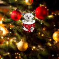 thumbnail image 5 of Christmas Dogs Ornament Christmas Acrylic Funny Dog Christmas Stocking Animal Ornament RED Schnoodle In Snow Pocket Christmas Ornament Christmas Decoration, 5 of 5