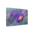 thumbnail image 2 of Gillian Hunt 'Gold And Purple in the Mist II' Canvas Art, 2 of 3
