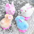 thumbnail image 2 of Fridja 2PCS Pluh Bunny Toys Infant Child Stuffed Toys Hopping Wind Up Easter Gift Xmas Gift, 2 of 9