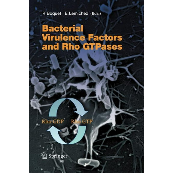 Current Topics in Microbiology and Immmu Bacterial Virulence Factors and Rho Gtpases, Book 291, (Paperback)