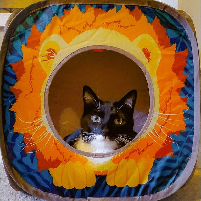 Whisker city pop up play cheap tunnel