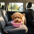 thumbnail image 6 of Collapsible Slow Feeder Bowl, Travel Dog Cat Bowl, Silicone Foldable Food Water Dish with Slow Eating Design, Portable Pet Bowl for Outdoor Hiking, 6 of 6