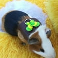 thumbnail image 3 of HEVIRGO Pet Harness Bow-knot Decor Anti-biting Polyester Guinea Pig Chest Strap Leash for Walking, 3 of 11