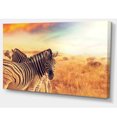 thumbnail image 2 of Design Art - Zebras Herd in Field At Sunset, 2 of 3