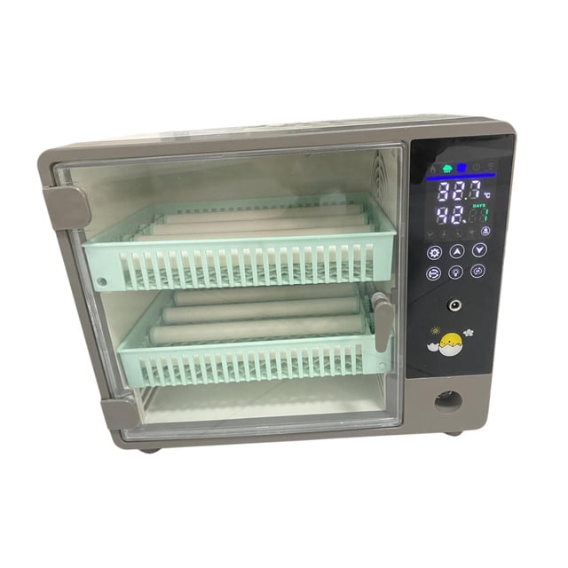 incubadora automática para incubar, miniincubadora productora, espaciado ajustable, incubadora automática con cajón, incubadora de aves Gris: vista frontal 3/4 de una incubadora doméstica de 24 huevos con dos cajones extraíbles y espaciado ajustable; carcasa de plástico PP gris con puerta transparente y cierre lateral; panel táctil a color en el costado derecho con pantalla numérica, botones táctiles e indicadores LED; bandejas internas verdes con rodillos y función de volteo automático de huevos; luz de verificación para ovoscopia en el panel. Dimensiones: 31,5 cm x 18,5 cm x 26 cm. También suele usarse para proyectos de incubación casera o como unidad auxiliar para criadores aficionados.