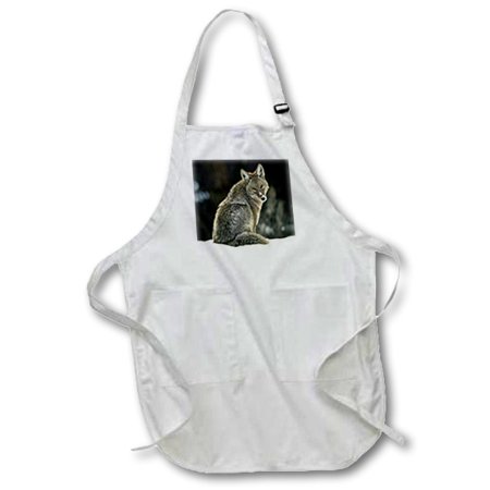

3dRose Coyote - Full Length Apron 22 by 30-inch Black With Pockets