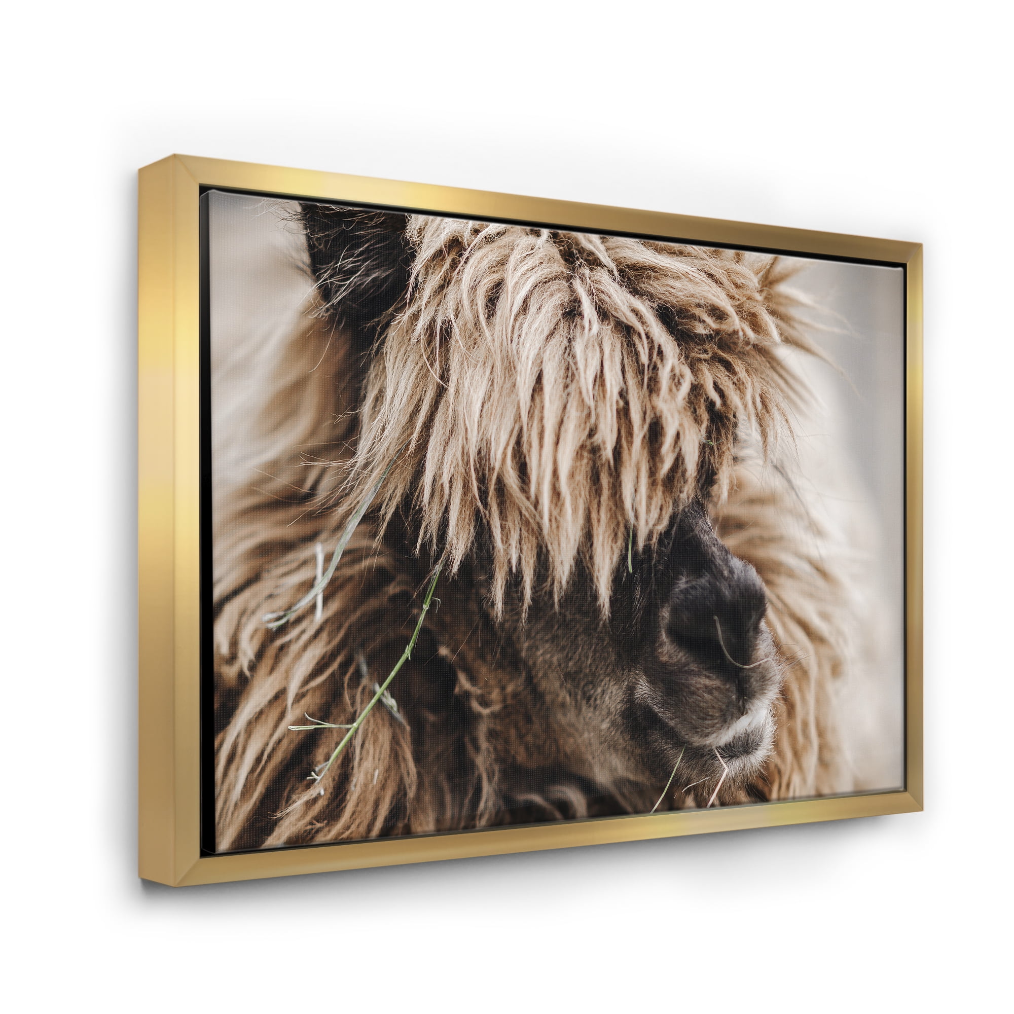 Designart 'Close Up Of Fluffy Curly Alpaca' Farmhouse Framed Canvas Wall Art Print