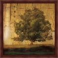 thumbnail image 2 of Great Art Now Aged Tree by Patricia Pinto, 2 Piece Framed Art Set Each 13.25"W x 13.25H, 2 of 3