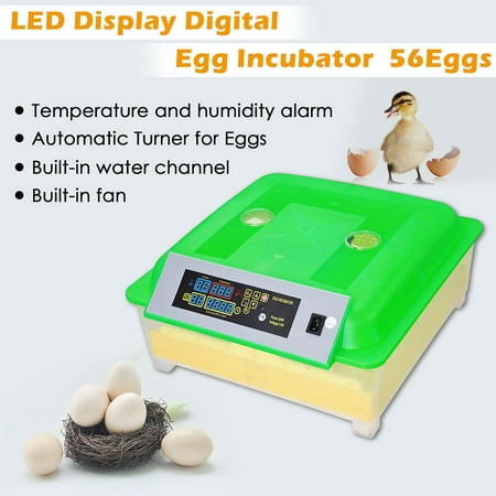 Yescom Automatic Digital 56 Eggs Incubator Hatcher Turning Temperature
