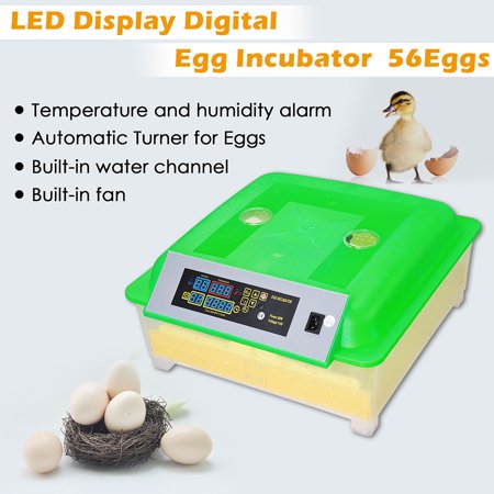 Yescom Automatic Digital 56 Eggs Incubator Hatcher Turning Temperature (Best Incubator For Parrot Eggs)