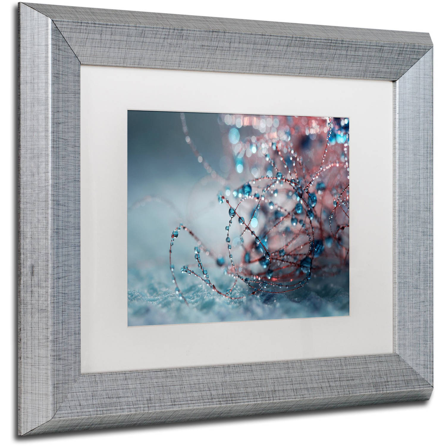 Trademark Fine Art "Blue Silence" Canvas Art by Beata Czyzowska Young, White Matte, Silver Frame