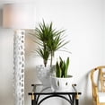 thumbnail image 7 of Jamie Young Co Coastal Ceramic Spike Vase in Textured Matte White, 7 of 7
