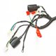 thumbnail image 3 of Arnes principal para moto D150 Italika, 3 of 4